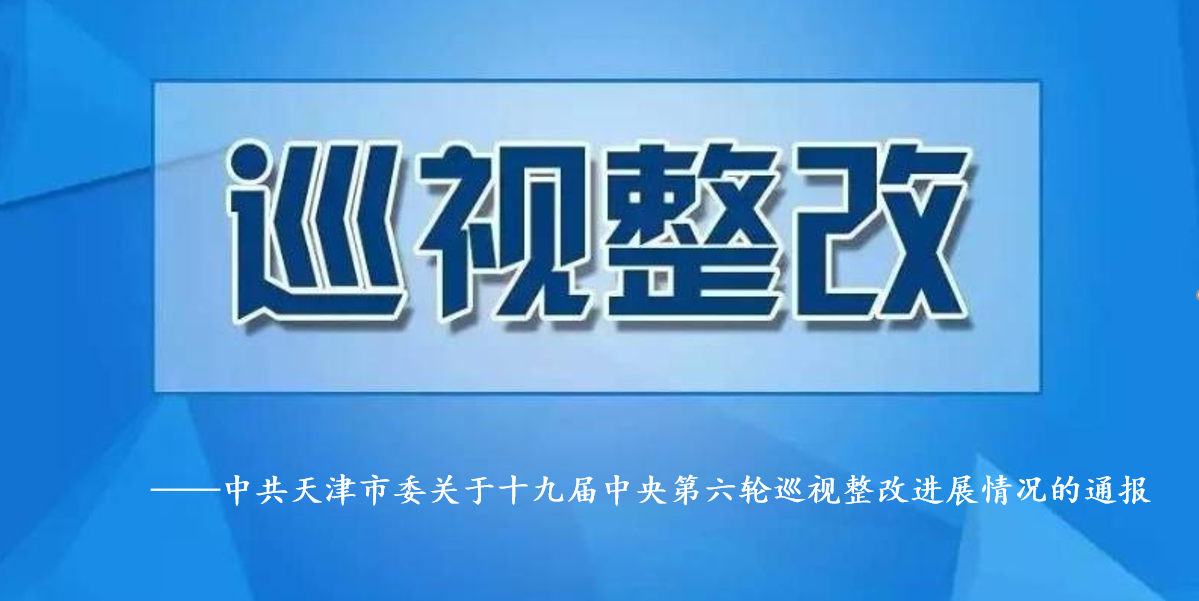 中共天津市委关于十九届中央第六轮巡视整改进展情况的通报